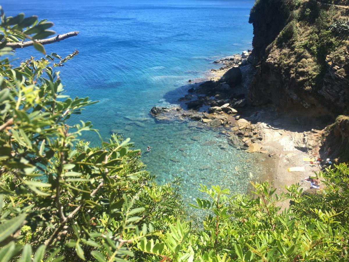 Studio Rio Marina Sul Mare Ac Leilighet Eksteriør bilde
